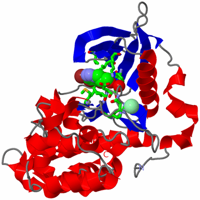 Image Asym./Biol. Unit - sites