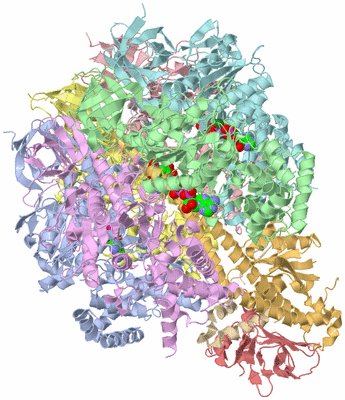 Image Biological Unit 1