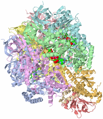 Image Biol. Unit 1 - sites