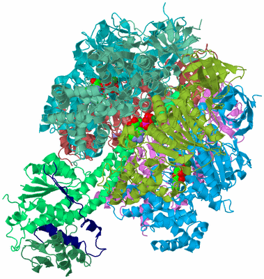 Image Biological Unit 2