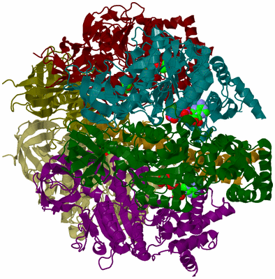 Image Biological Unit 3