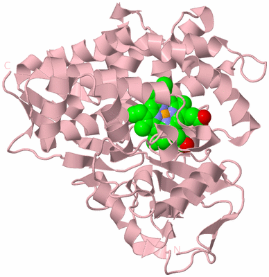 Image Biological Unit 3