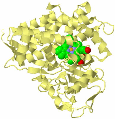 Image Biological Unit 4