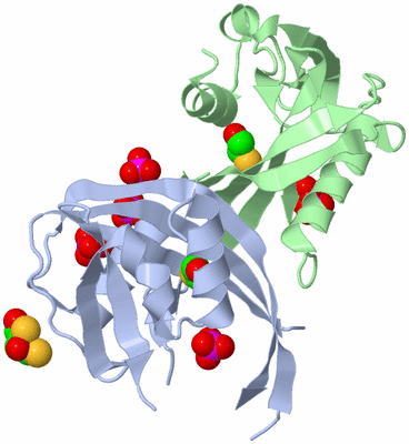 Image Asym./Biol. Unit