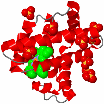 Image Asym./Biol. Unit