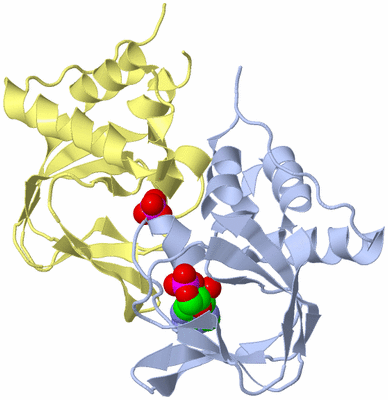 Image Biological Unit 1