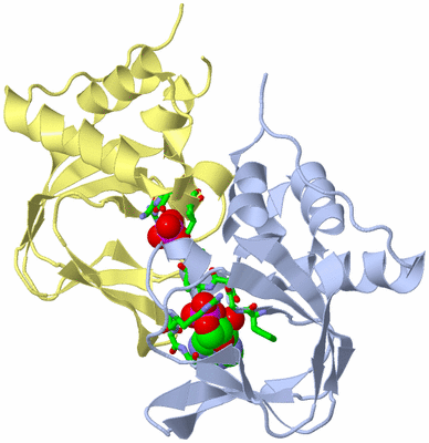 Image Biol. Unit 1 - sites