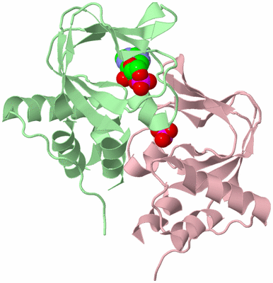 Image Biological Unit 2