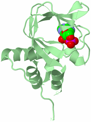 Image Biological Unit 4