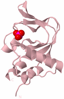 Image Biological Unit 5