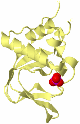 Image Biological Unit 6