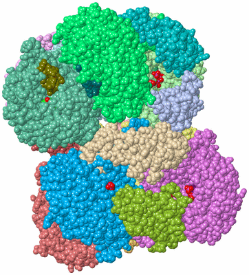 Image Asym./Biol. Unit