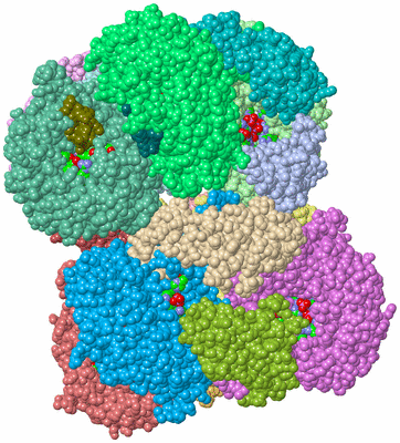 Image Asym./Biol. Unit - sites