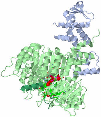 Image Biol. Unit 1 - sites