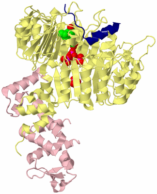 Image Biological Unit 2