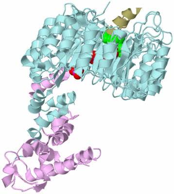 Image Biological Unit 3