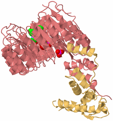 Image Biological Unit 4