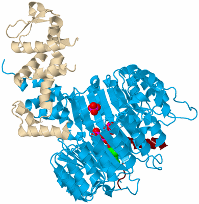 Image Biological Unit 5