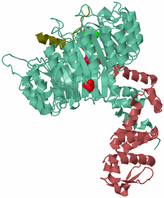 Image Biological Unit 6