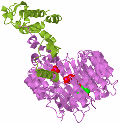 Image Biological Unit 7