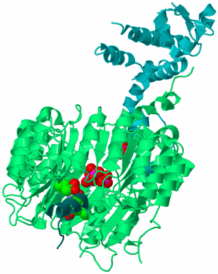 Image Biological Unit 8