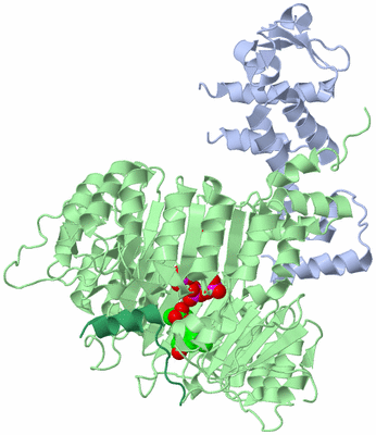 Image Biological Unit 1