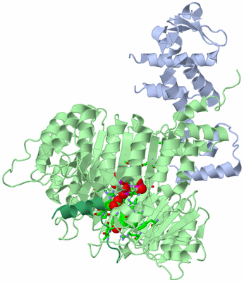 Image Biol. Unit 1 - sites