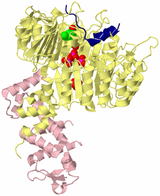 Image Biological Unit 2