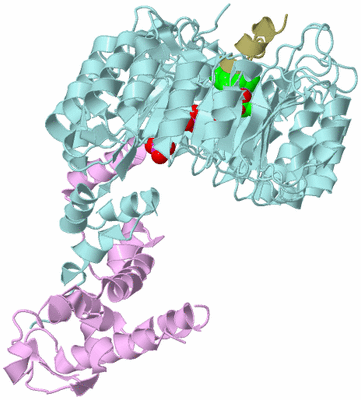 Image Biological Unit 3