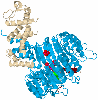 Image Biological Unit 5