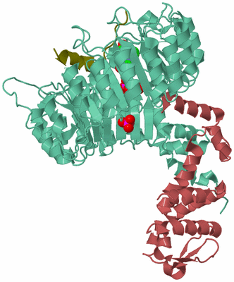 Image Biological Unit 6