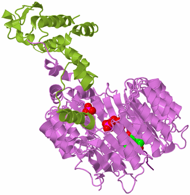 Image Biological Unit 7