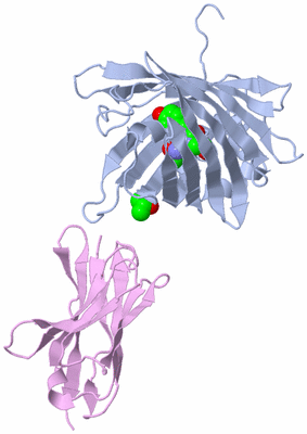 Image Biological Unit 1