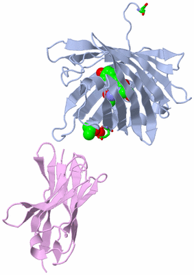 Image Biol. Unit 1 - sites