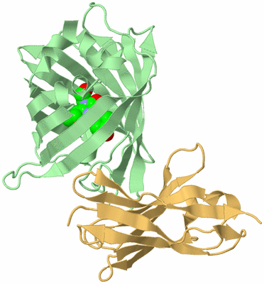 Image Biological Unit 2