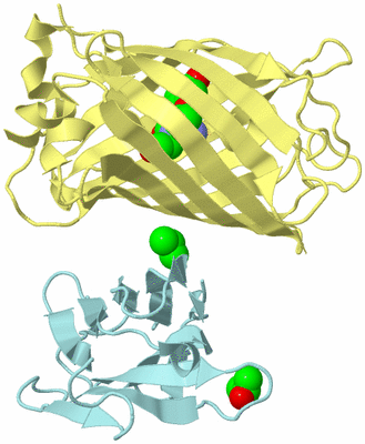 Image Biological Unit 4