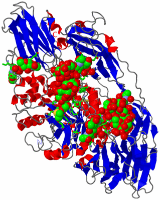 Image Asym./Biol. Unit - sites