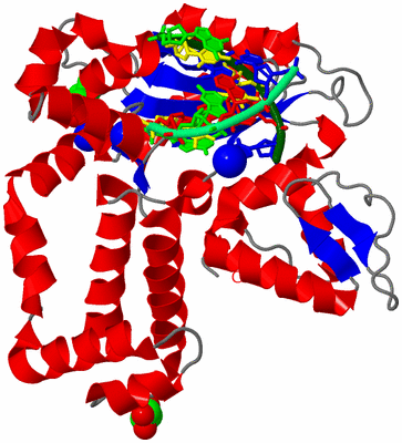 Image Asym./Biol. Unit