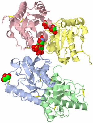 Image Asym./Biol. Unit