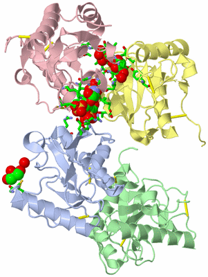 Image Asym./Biol. Unit - sites