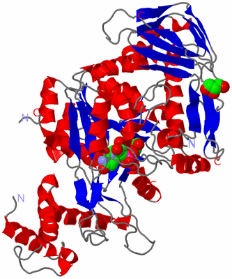 Image Asym./Biol. Unit
