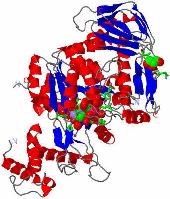Image Asym./Biol. Unit - sites
