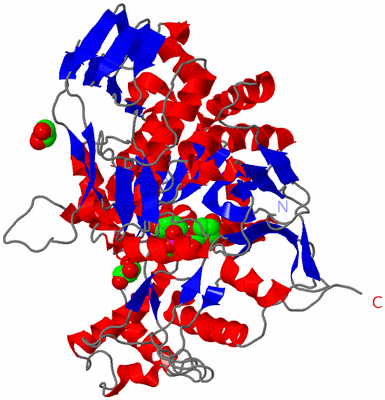 Image Asym./Biol. Unit