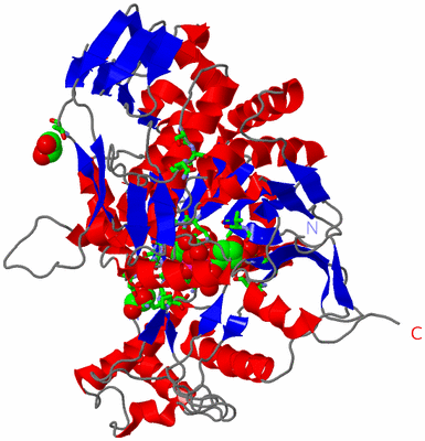 Image Asym./Biol. Unit - sites