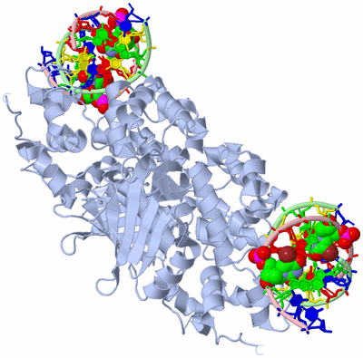 Image Biological Unit 2