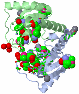 Image Asym./Biol. Unit - sites