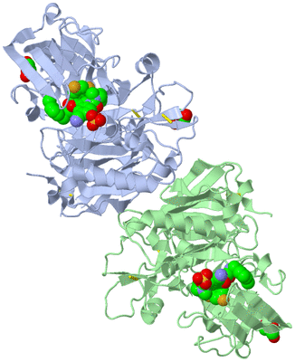 Image Biological Unit 1