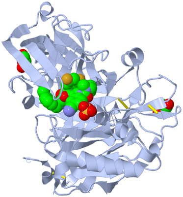 Image Biological Unit 2