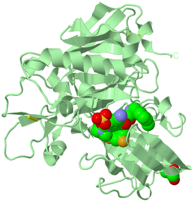 Image Biological Unit 3