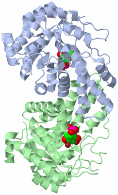 Image Asym./Biol. Unit